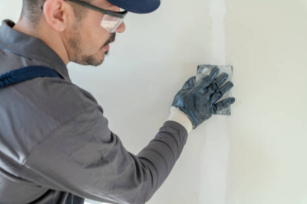 Best Repainting for Renovations  in Coto De Za, CA